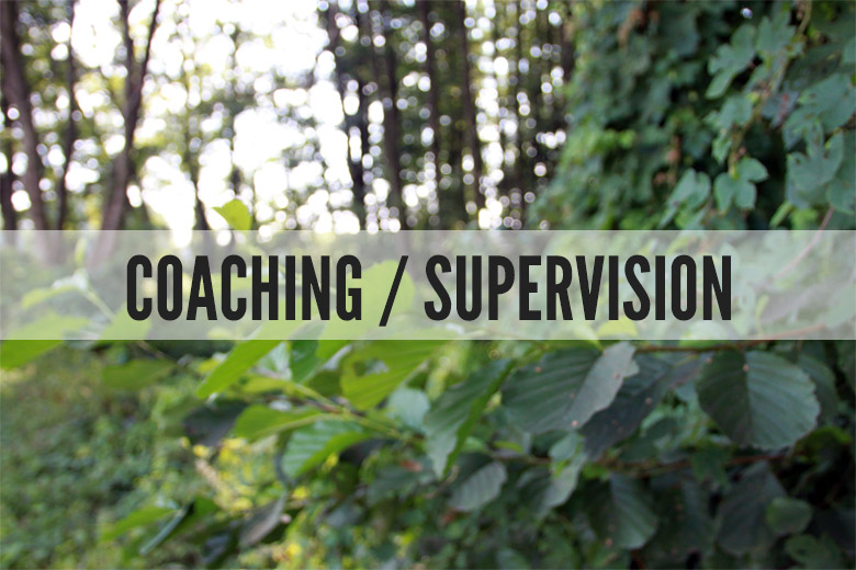 Coaching / Supervision